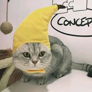 Déguisement Chat Banane