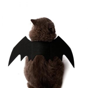 Masque Chauve-Souris Pour Chat – Déguisement Rigolo Halloween, Séance Photo, Accessoire Fête Pour Animaux