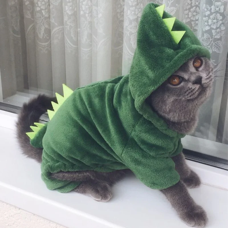 Déguisement Chat Dinosaure