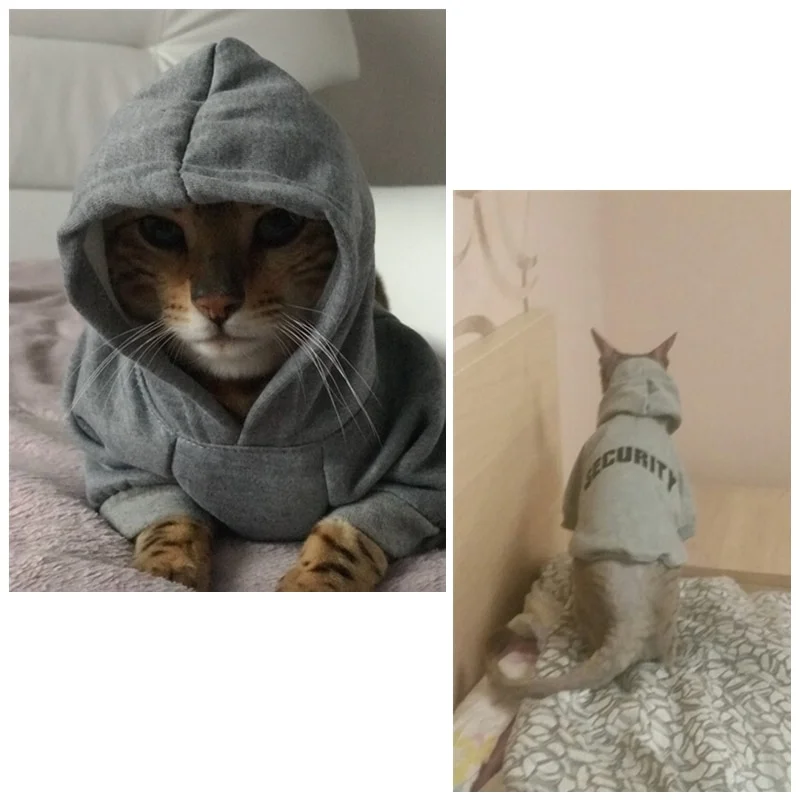 Déguisement Chat Sécurité