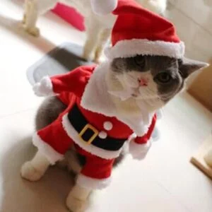 Déguisement Chat Père Noel