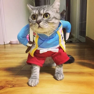 Déguisement Chat BG
