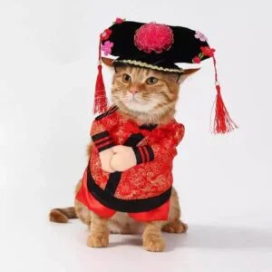 Déguisement Chat Traditionnel