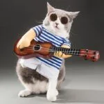 Déguisement Chat Guitariste