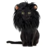 Déguisement Chat Lion