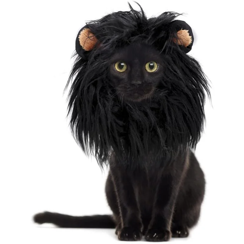 Déguisement Chat Lion